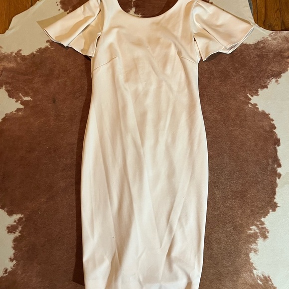 Calvin Klein Capelet Sheath Blossom Light Pink Scoop Neck Dress 
Size 10 - Picture 2 of 6